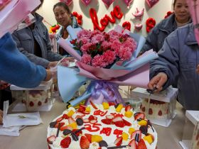 乐鱼注册平台(中国)官方网站
举办三八妇女节活动